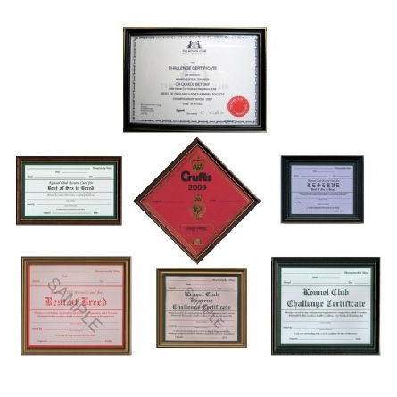 Best of Breed Certificate Frame