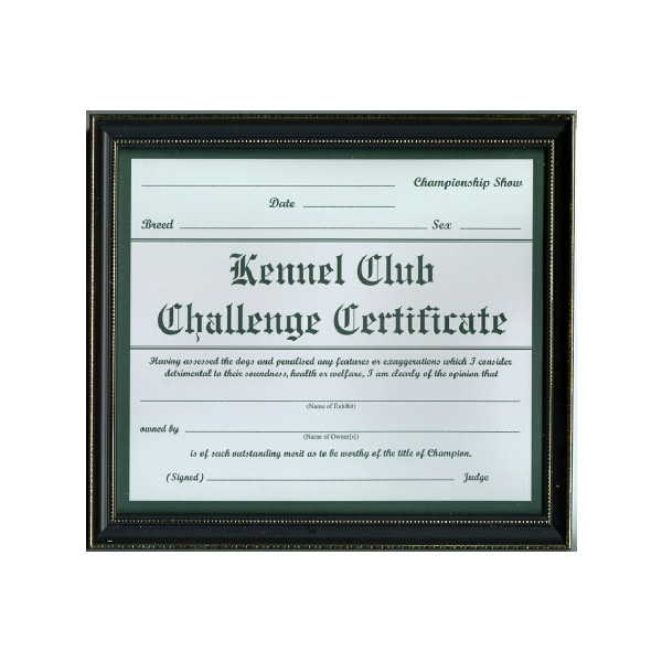 Challenge Certificate Frame