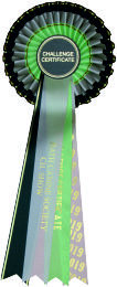 Challenge Certificate Rosette