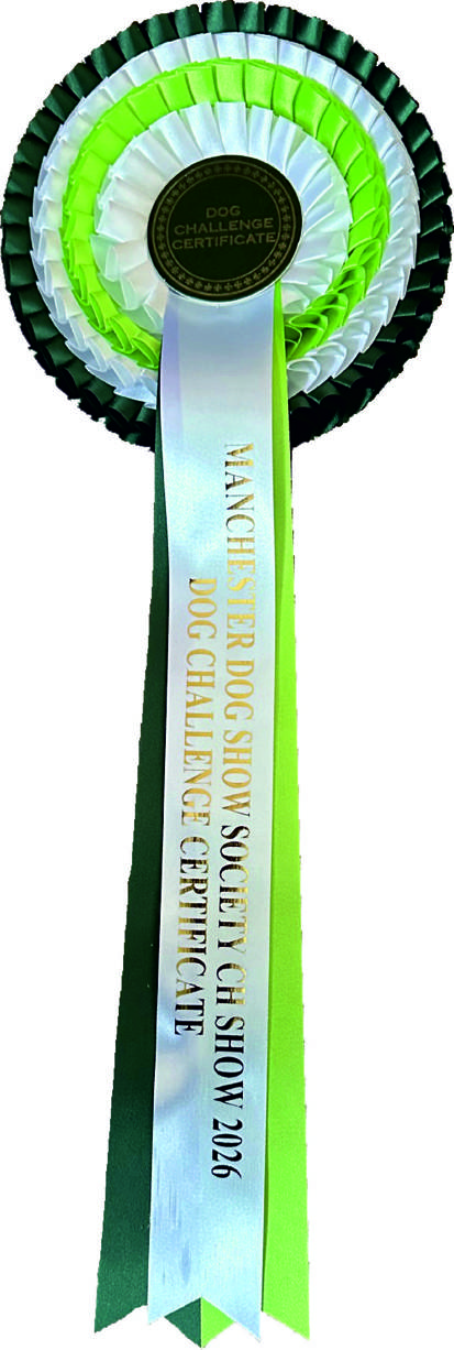 Challenge Certificate Rosette